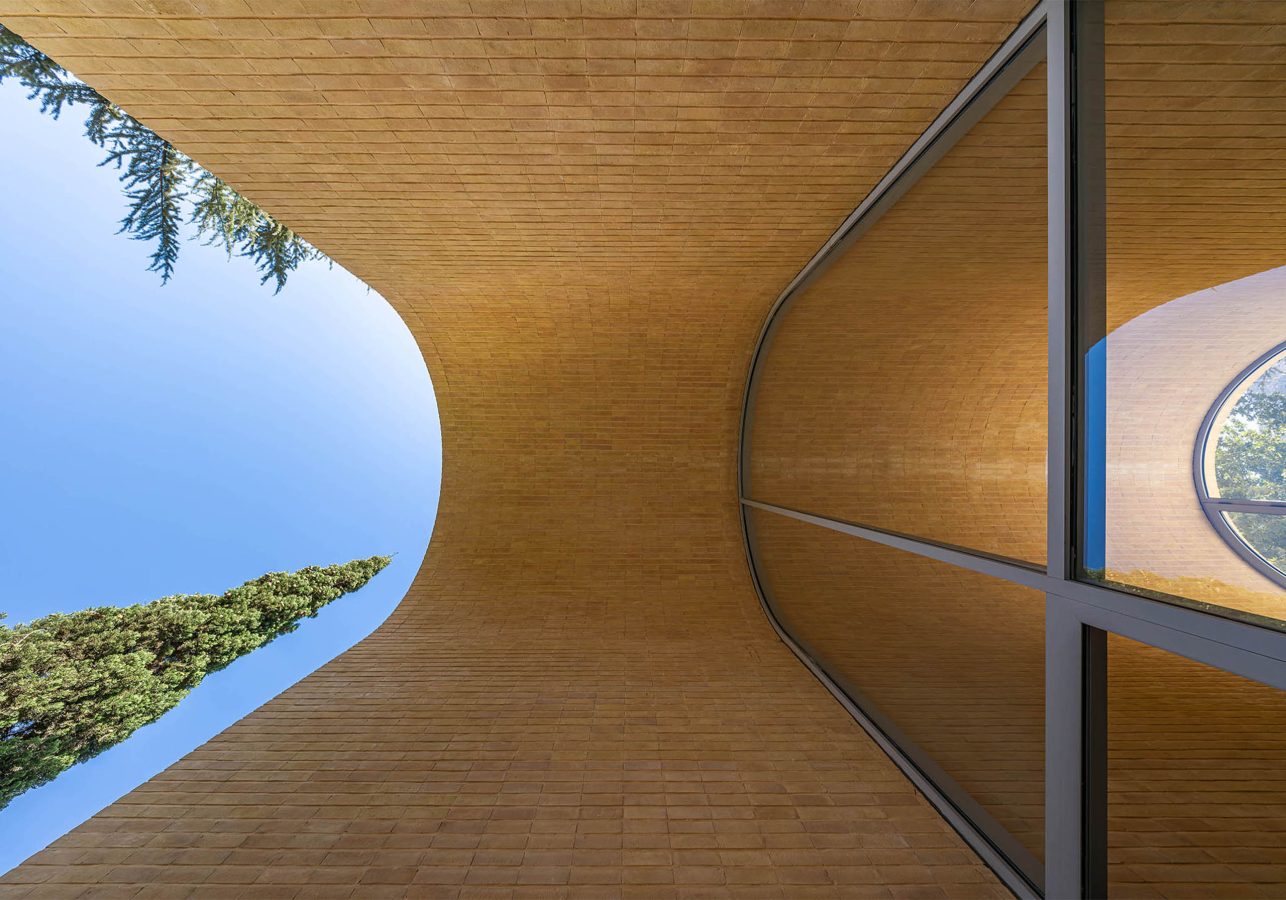 A House Looking to a Cedrus Tree